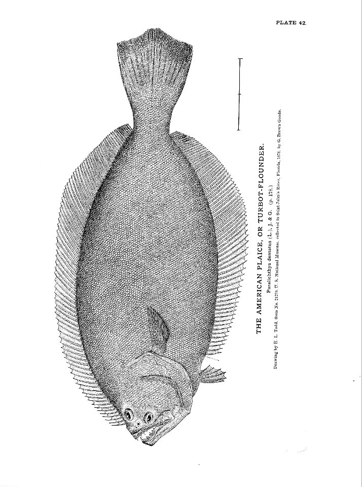 n107_w1150