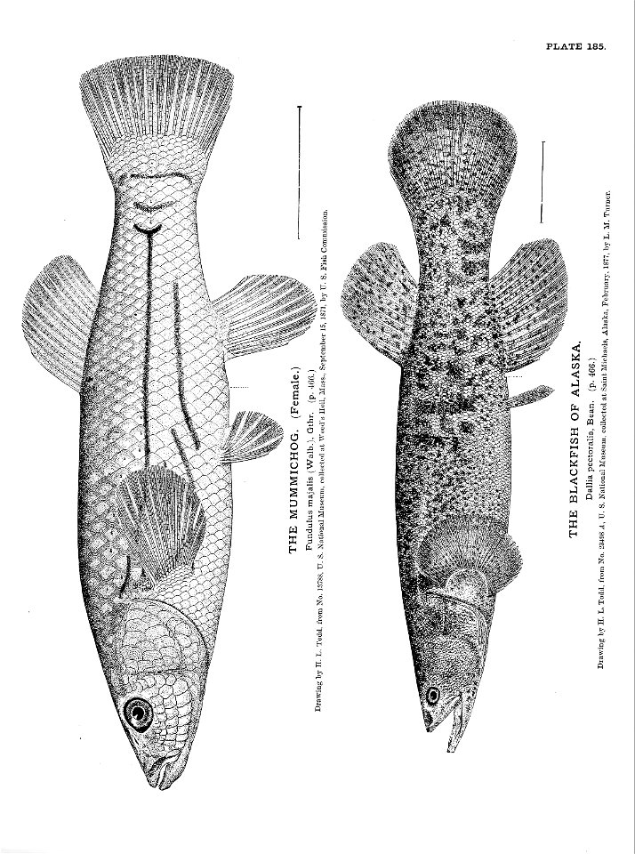 n405_w1150