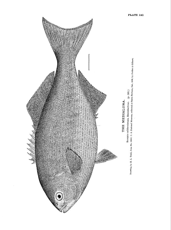 n315_w1150