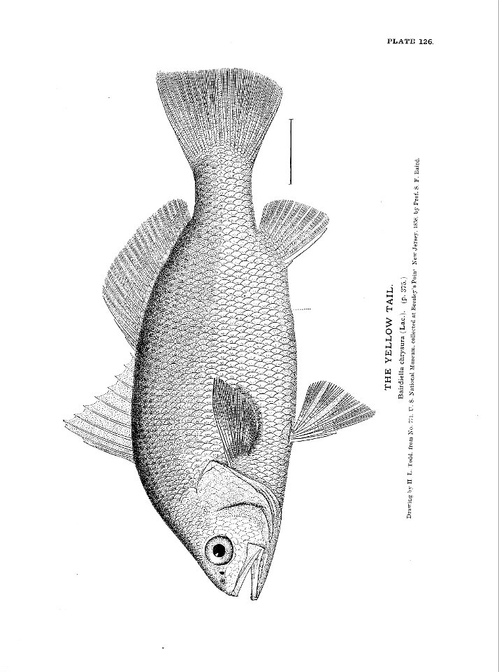 n285_w1150