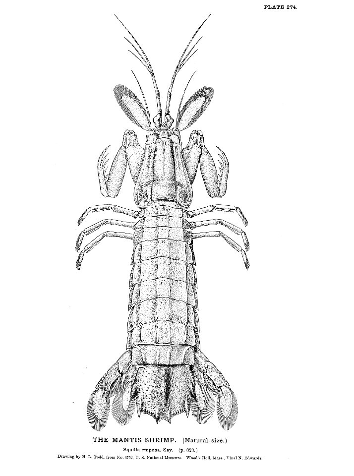 n605_w1150