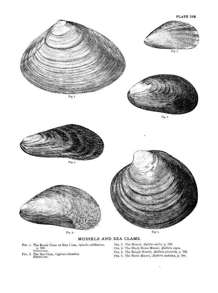 n571_w1150