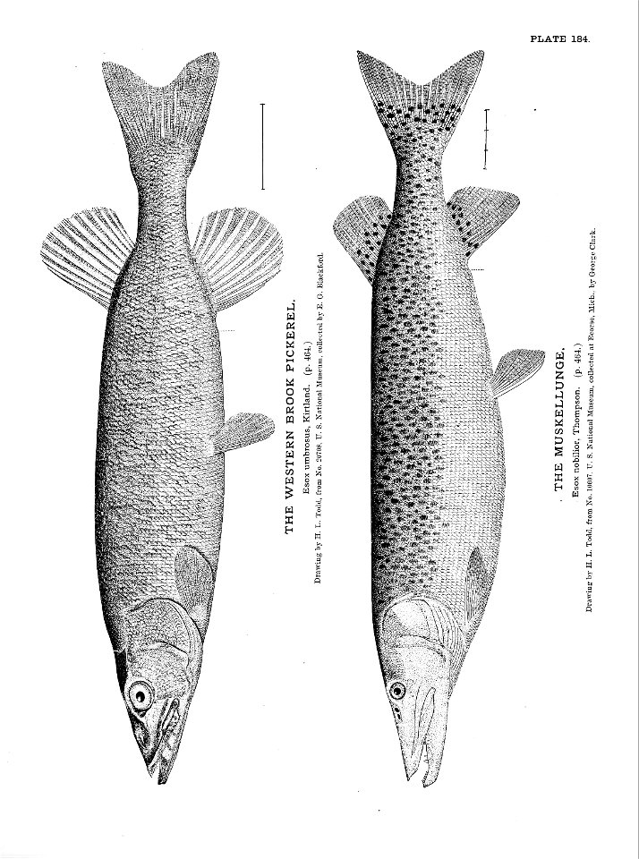 n403_w1150