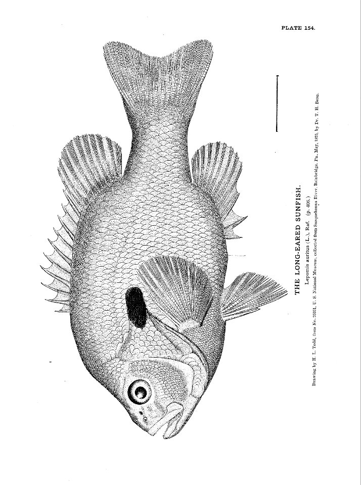 n343_w1150