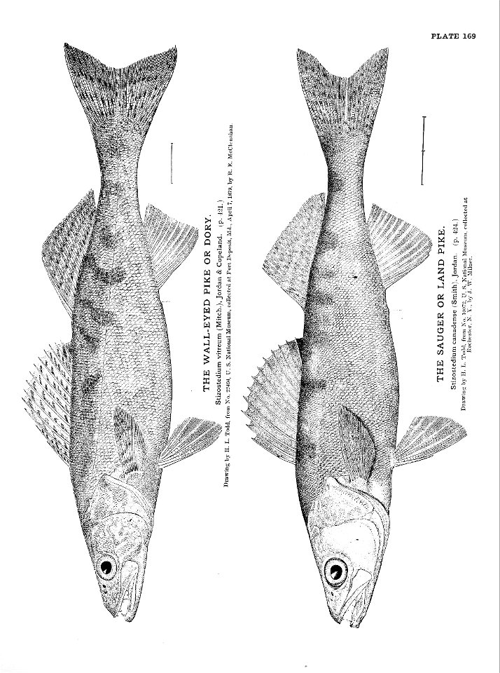 n373_w1150