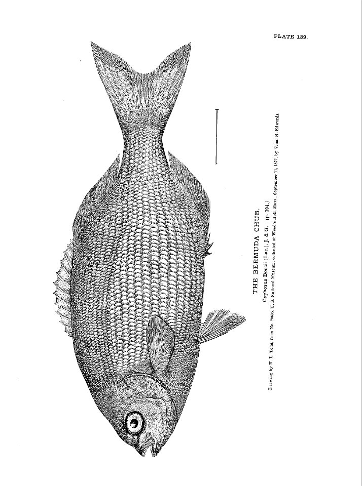n313_w1150