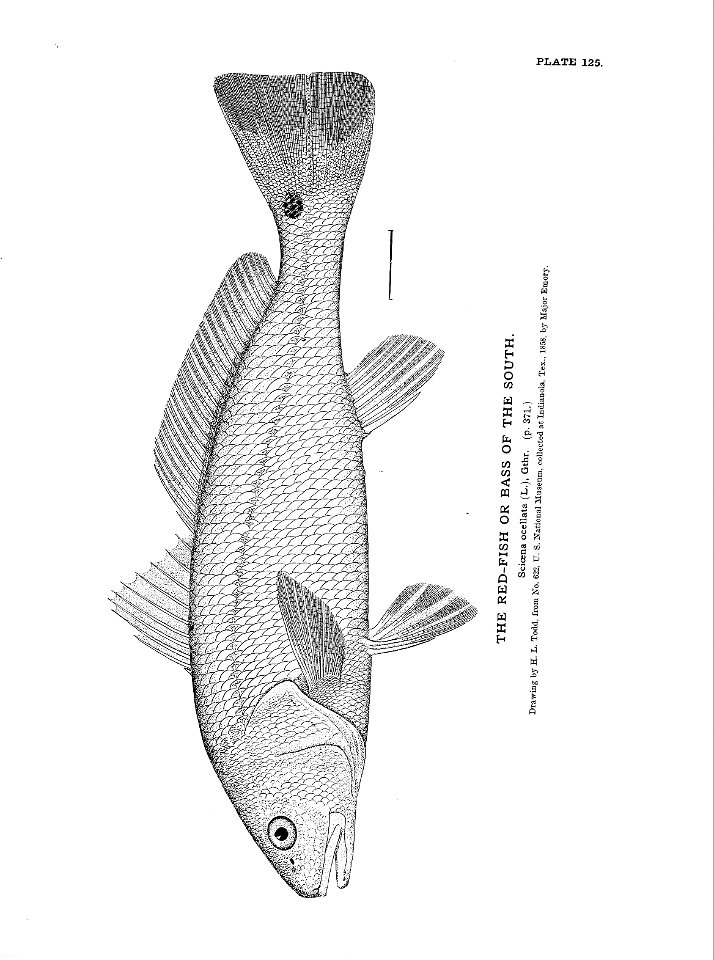 n283_w1150