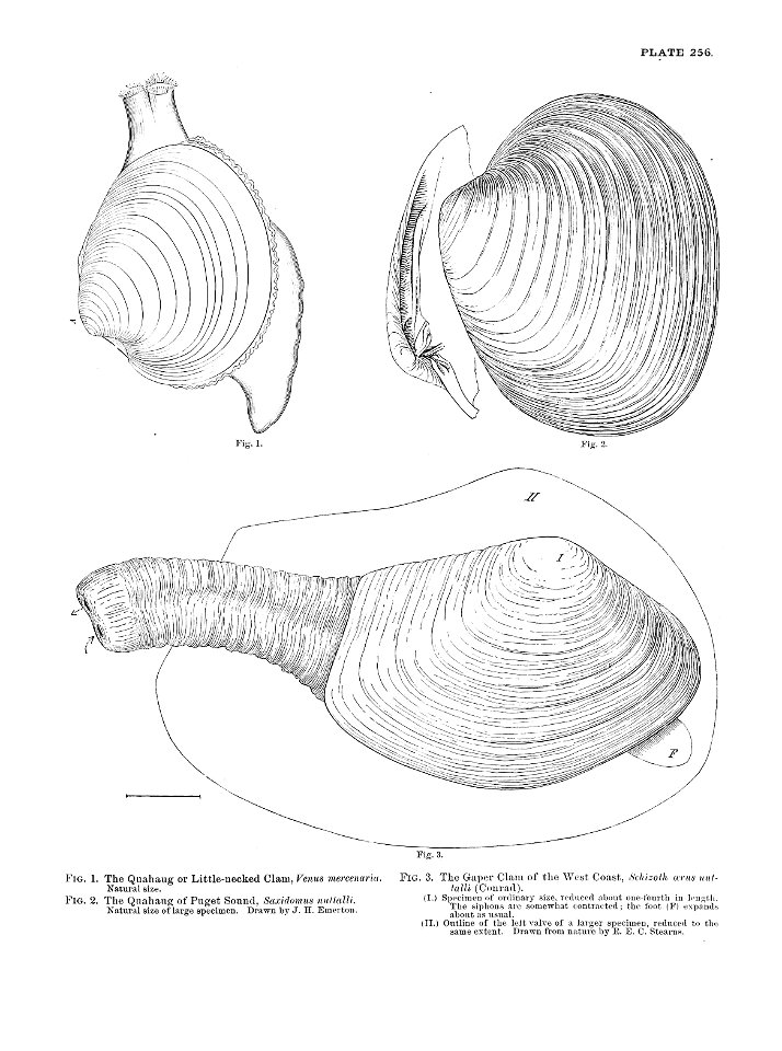 n567_w1150