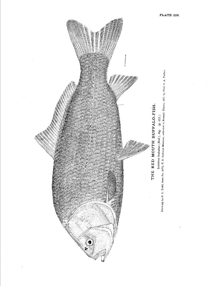 n507_w1150