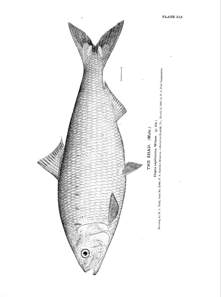 n471_w1150