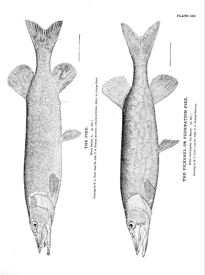 n401_w1150