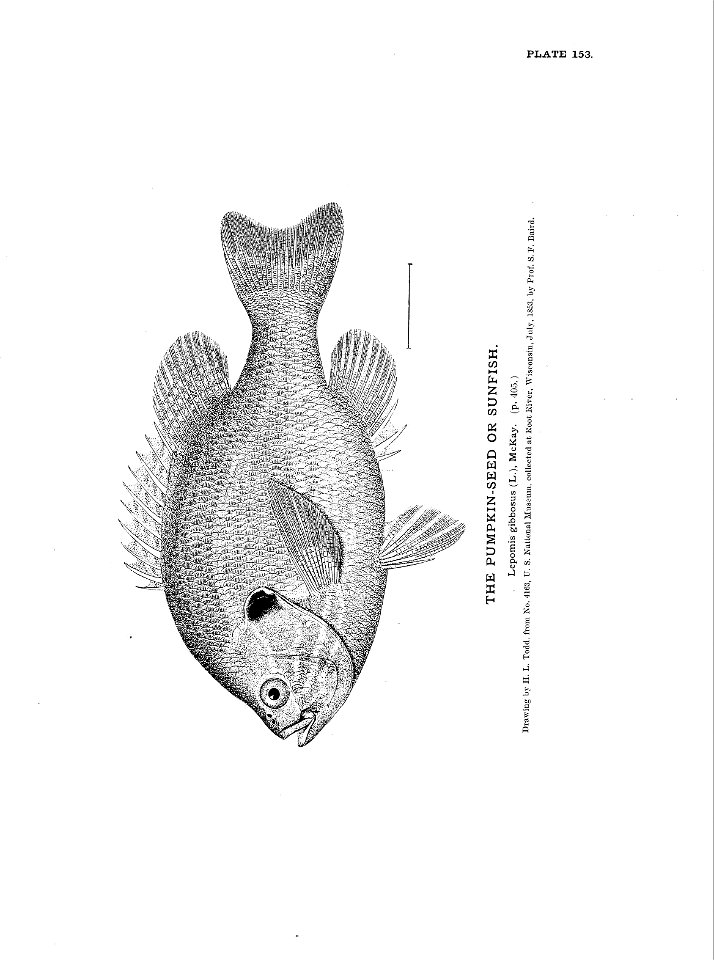 n341_w1150