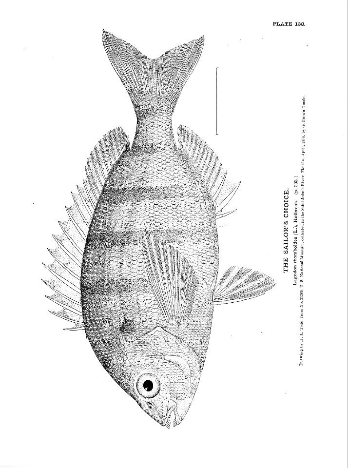 n311_w1150