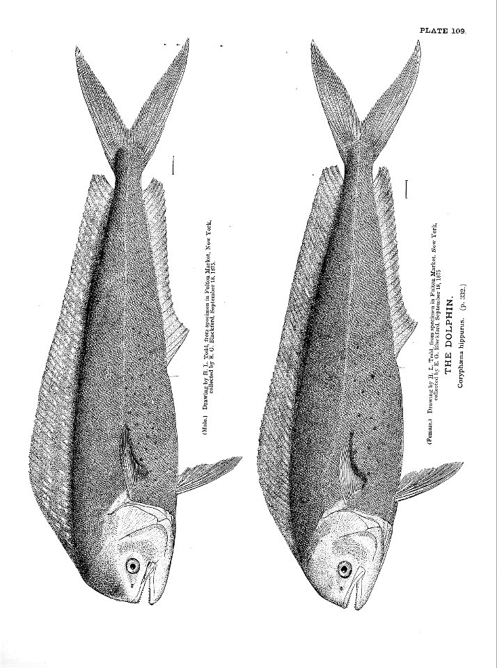 n251_w1150