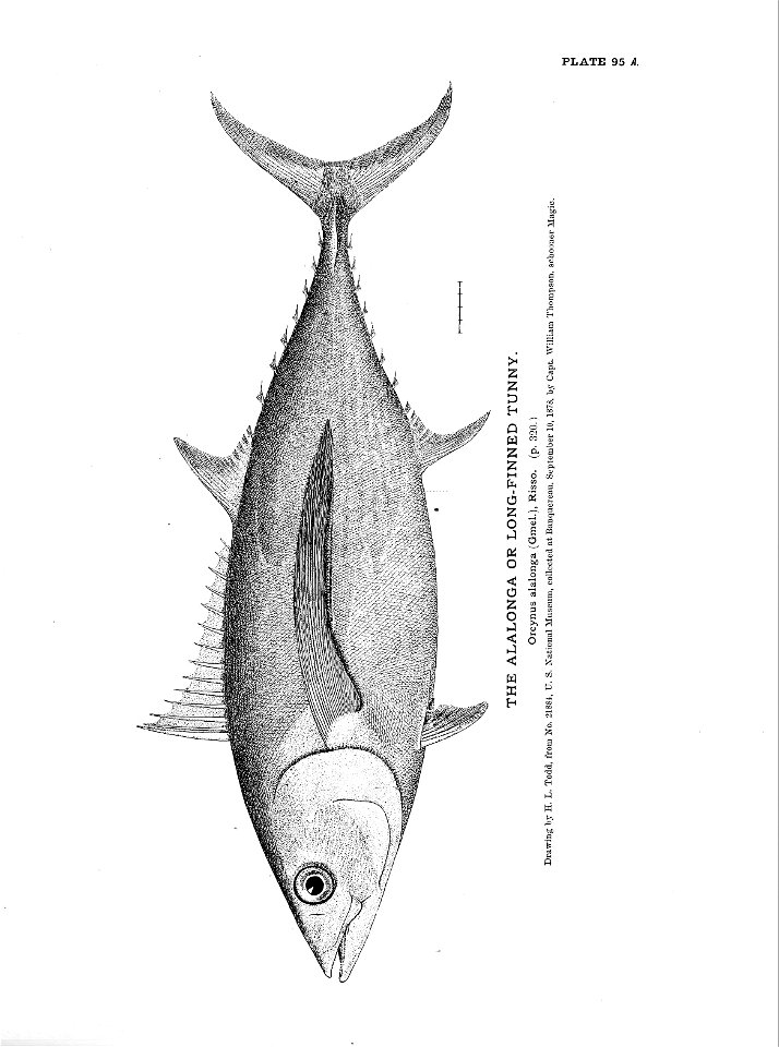 n221_w1150