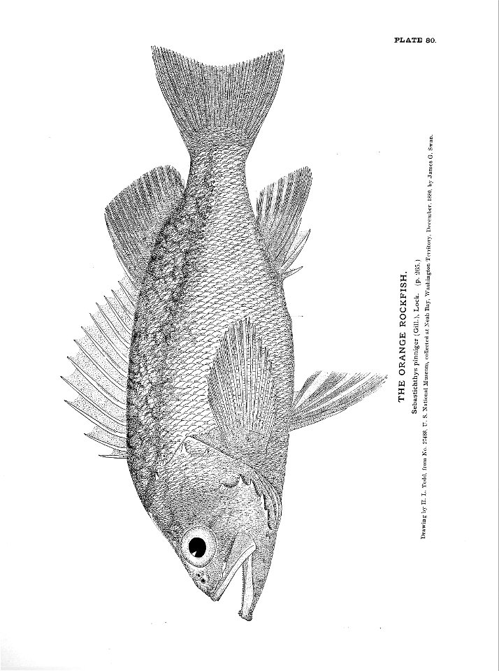 n191_w1150