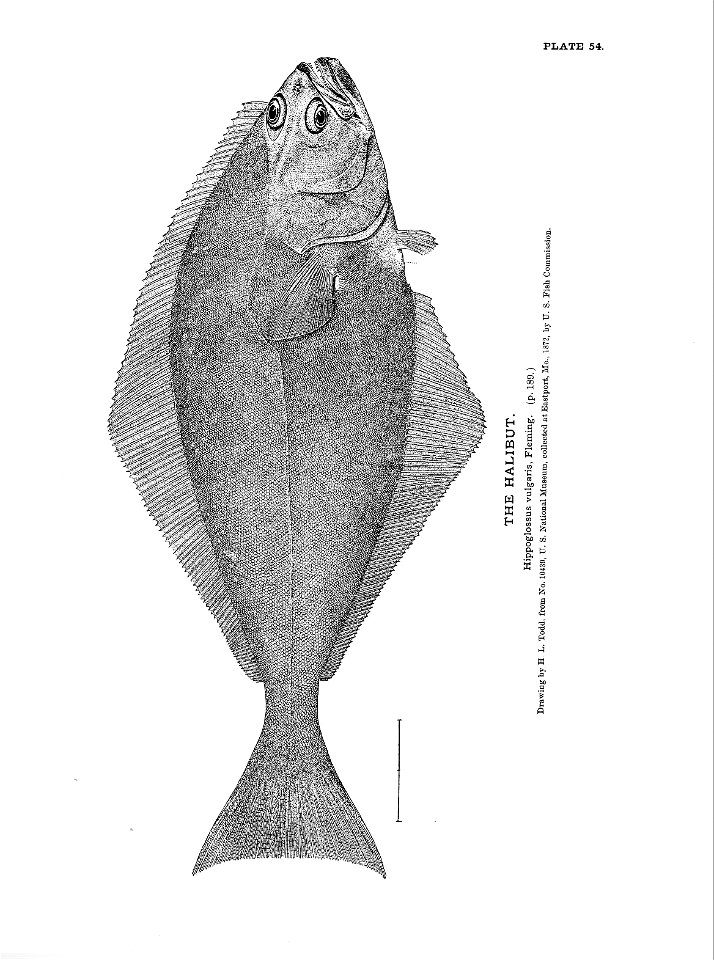 n131_w1150