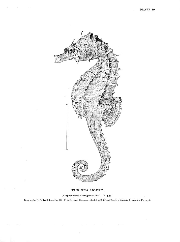 n101_w1150