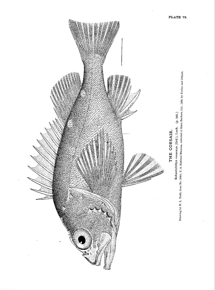 n189_w1150