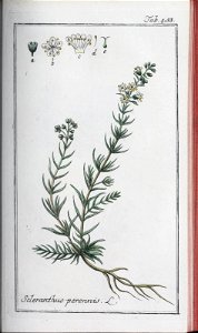 n206_w1150