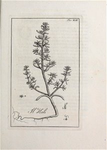 n242_w1150