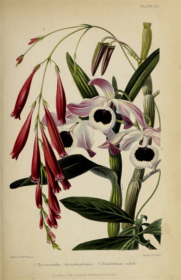 n828_w1150