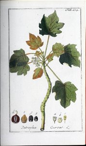 n108_w1150