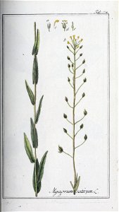 n222_w1150