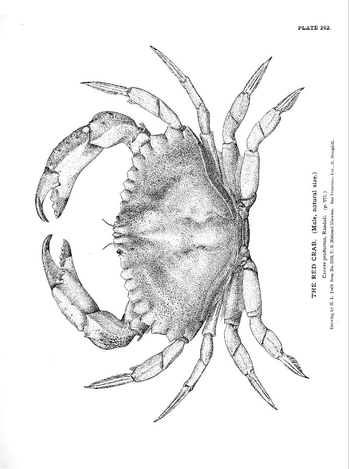 n581_w1150