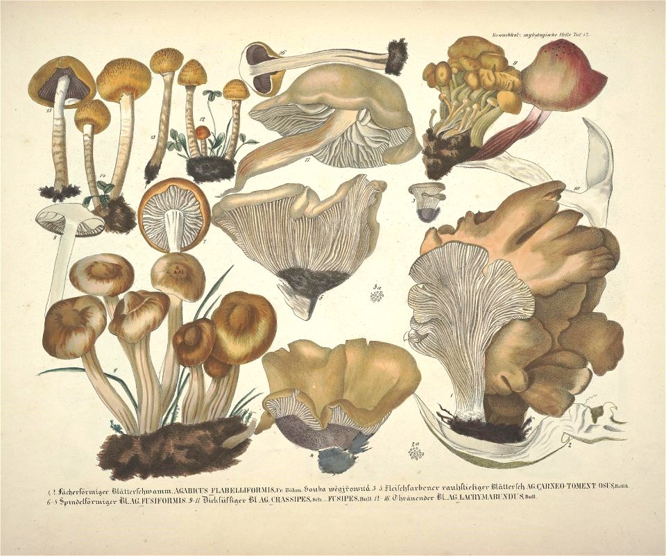 n42_w1150