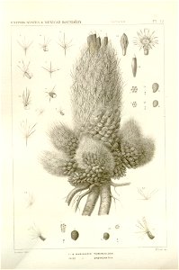 n14_w1150