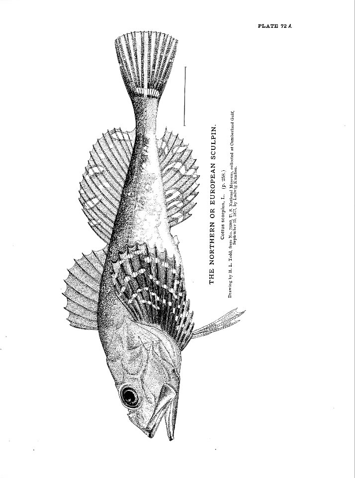 n171_w1150