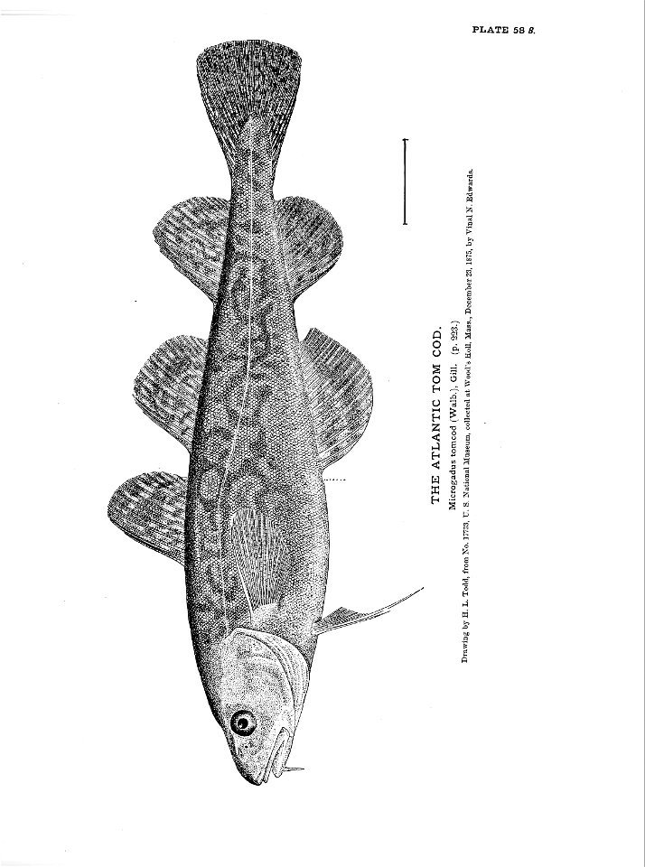 n141_w1150