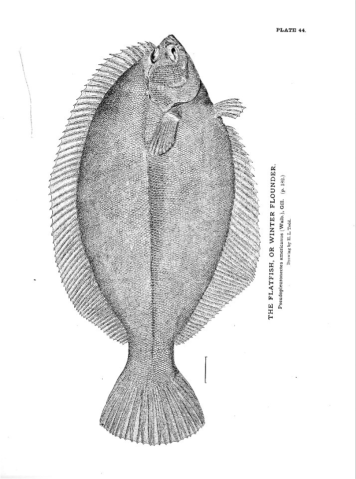 n111_w1150