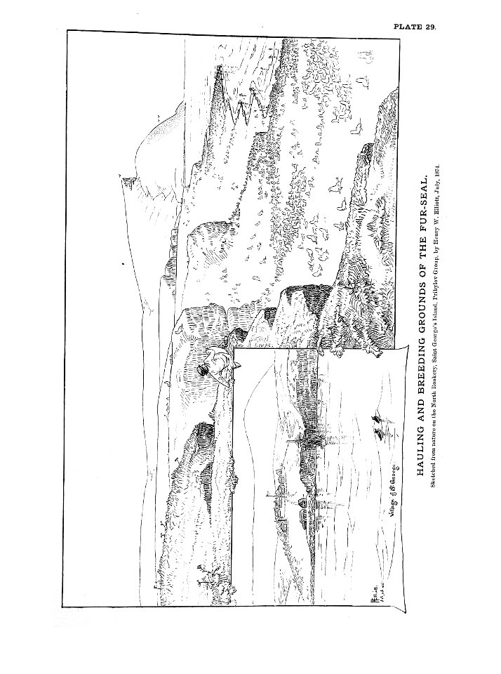 n81_w1150