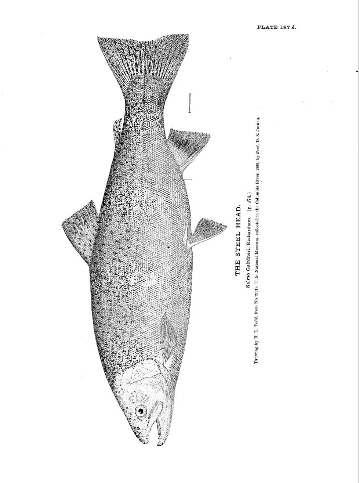 n409_w1150
