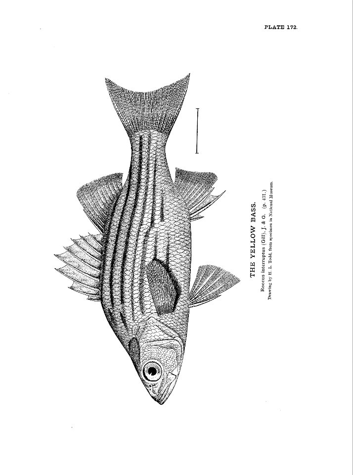 n379_w1150