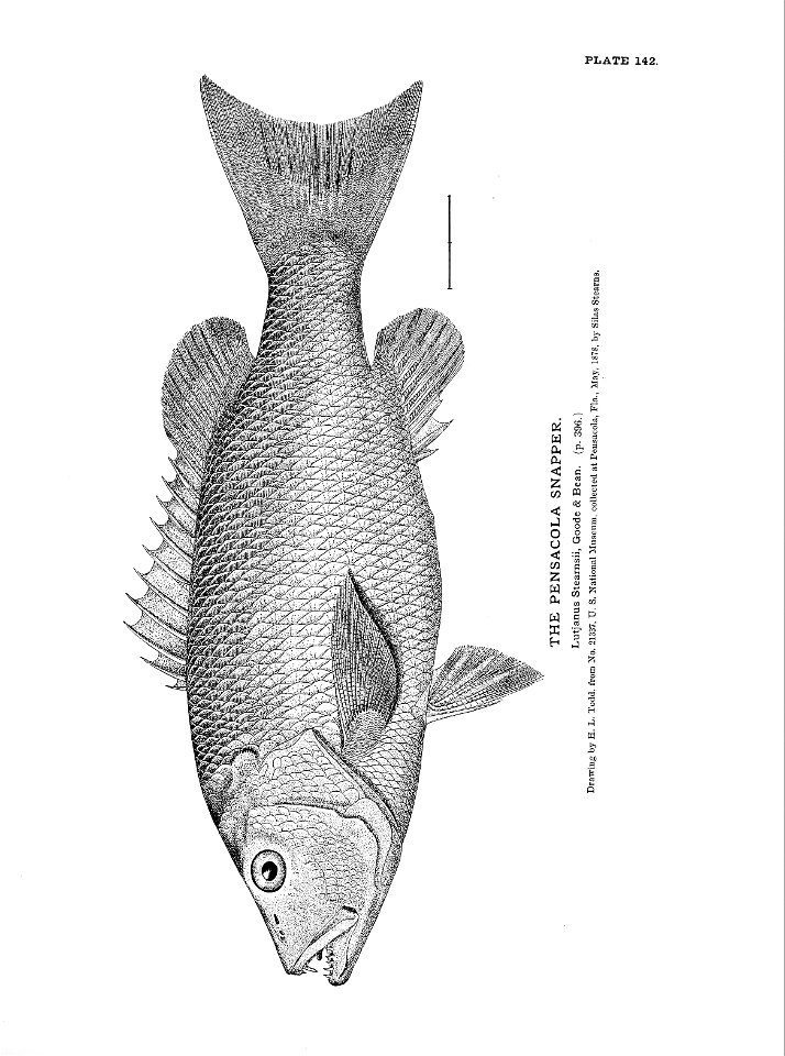 n319_w1150