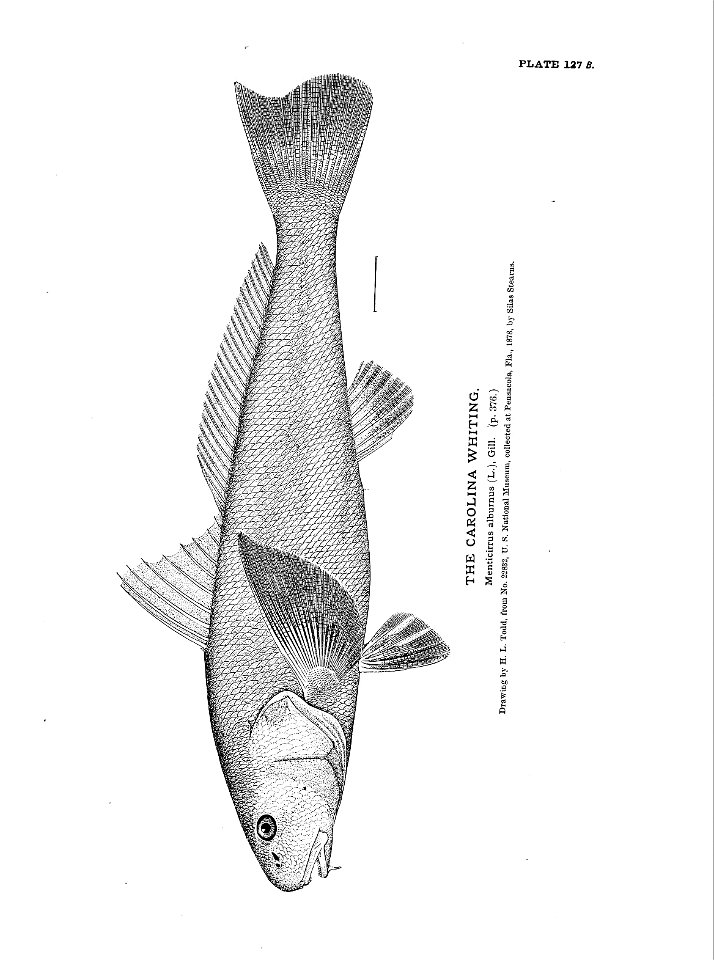 n289_w1150