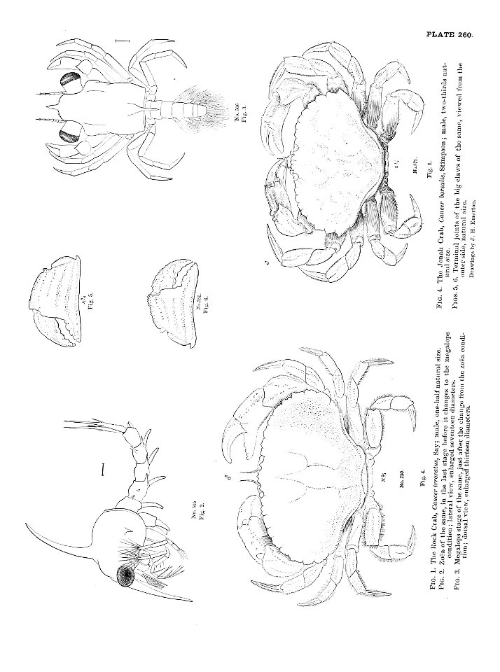 n577_w1150