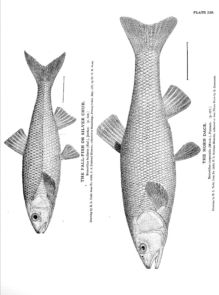 n511_w1150