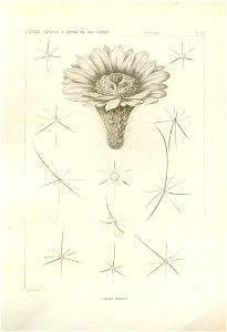 n55_w1150