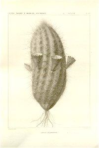 n39_w1150