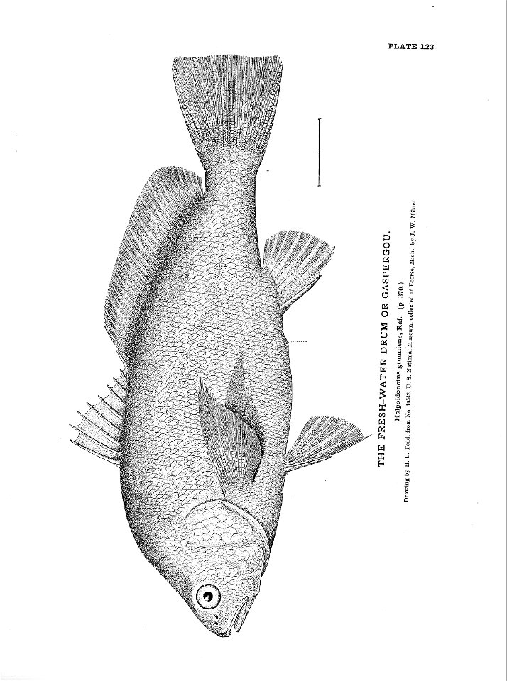 n279_w1150