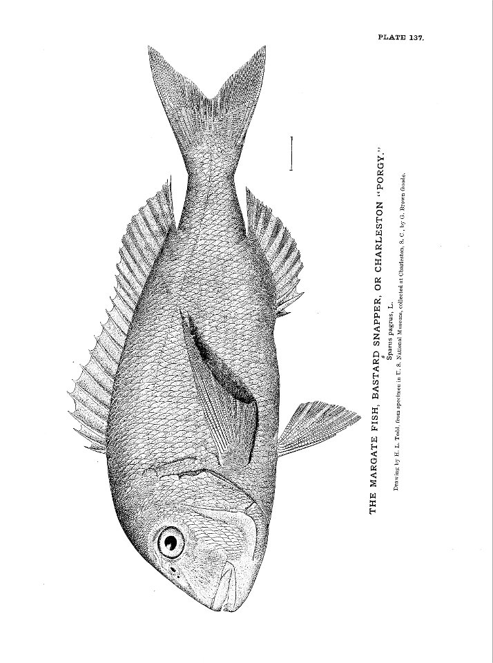 n309_w1150