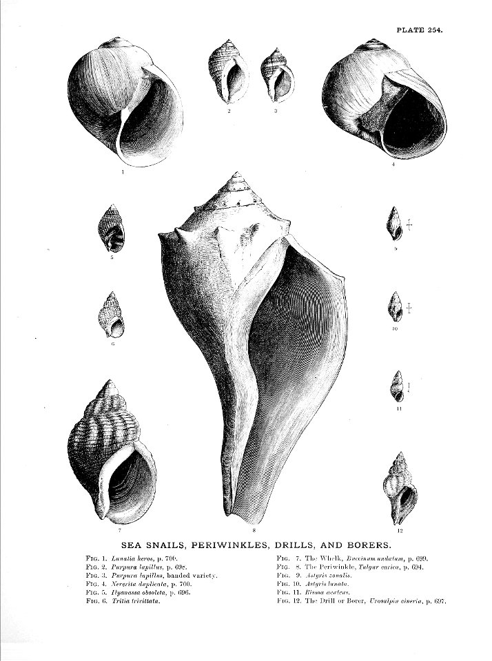 n563_w1150