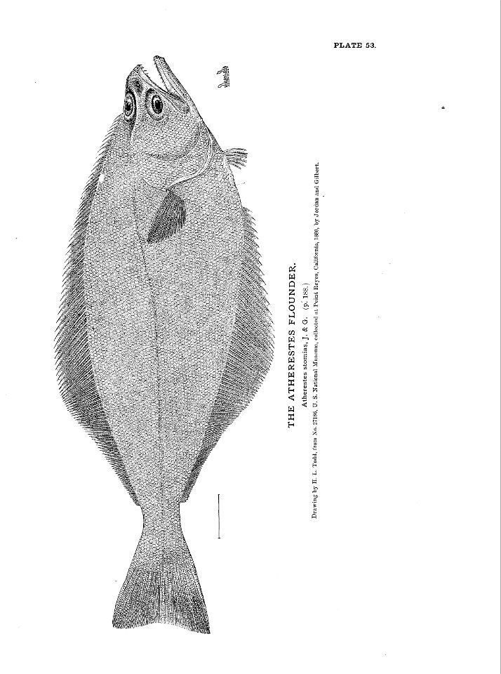 n129_w1150