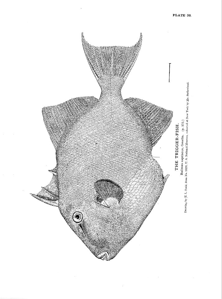 n99_w1150