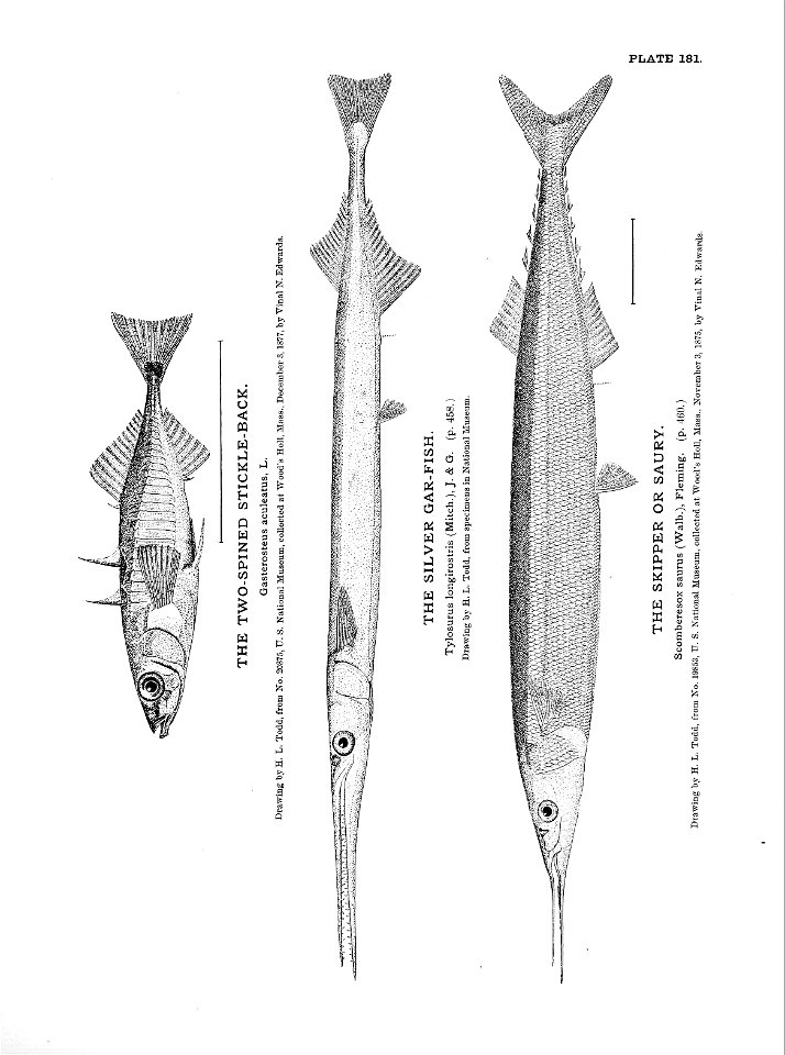 n397_w1150
