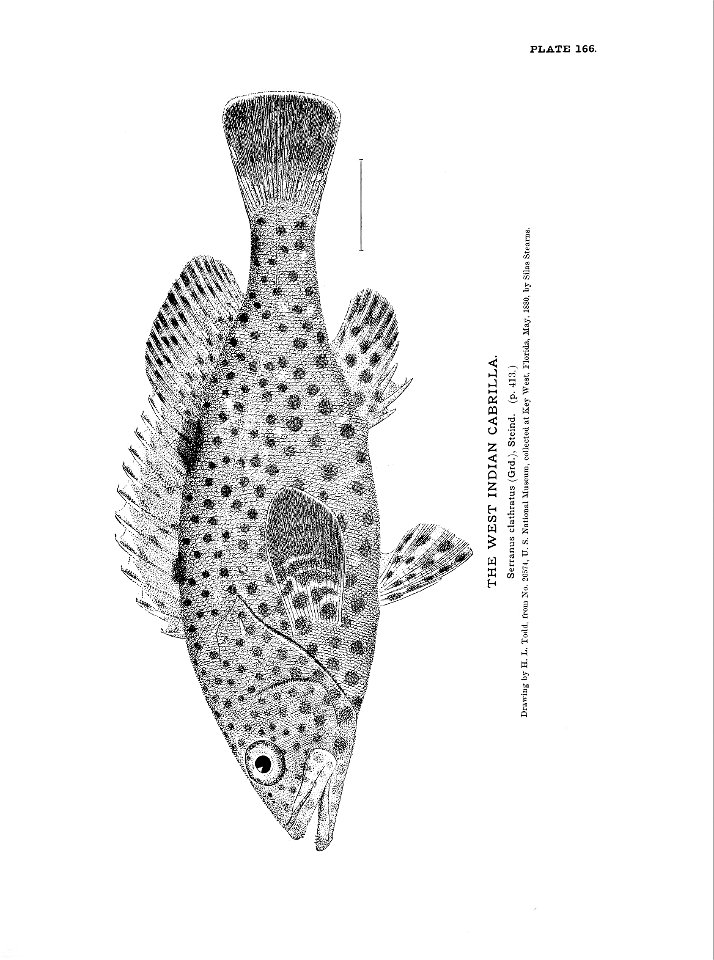 n367_w1150